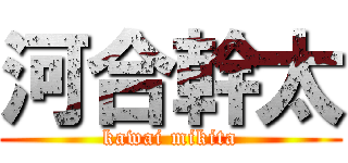 河合幹太 (kawai mikita)
