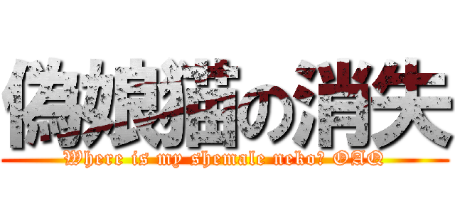 偽娘猫の消失 (Where is my shemale neko? OAQ)