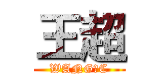 王超 (WANG●C)