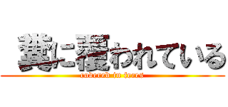  糞に覆われている (covered in feces)