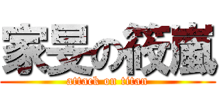 家旻の筱嵐 (attack on titan)