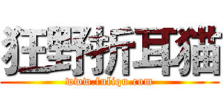 狂野折耳猫 (www.fuliqu.com)