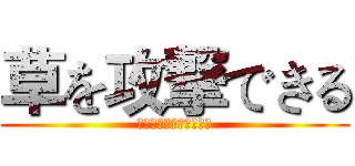 草を攻撃できる (羊のスタジオをキャッチ)