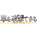 草を攻撃できる (羊のスタジオをキャッチ)