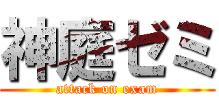 神庭ゼミ (attack on exam)