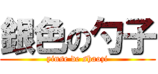 銀色の勺子 (yinse de shaozi)