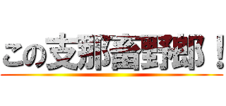 この支那畜野郎！ ()