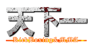天下一 (KickBoxing&MMA)