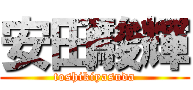 安田駿輝 (toshikiyasuda)