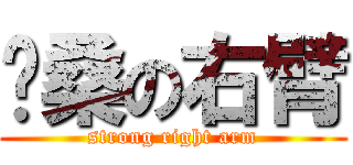 骏桑の右臂 (strong right arm)