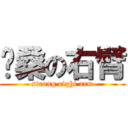 骏桑の右臂 (strong right arm)