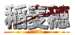 稲麦穂 (！！！！！)