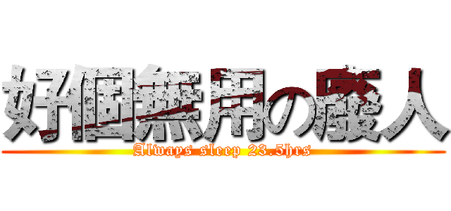 好個無用の廢人 (Always sleep 23.5hrs)