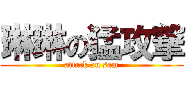 琳琳の猛攻撃 (attack on sam)