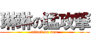 琳琳の猛攻撃 (attack on sam)
