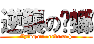 逆襲の蟑螂 (flying on cockroach)