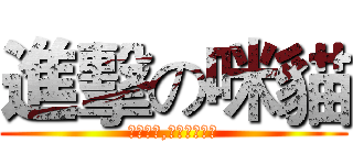 進擊の咪貓 (請勿拍打,嚴禁亂摸尾巴)