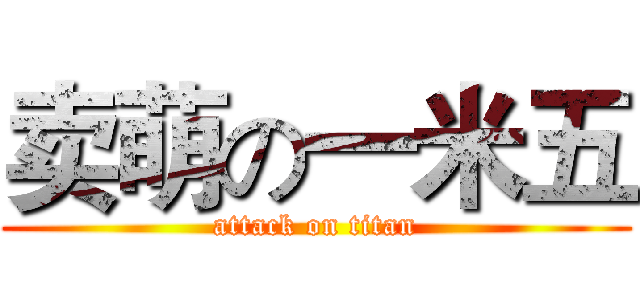 卖萌の一米五 (attack on titan)