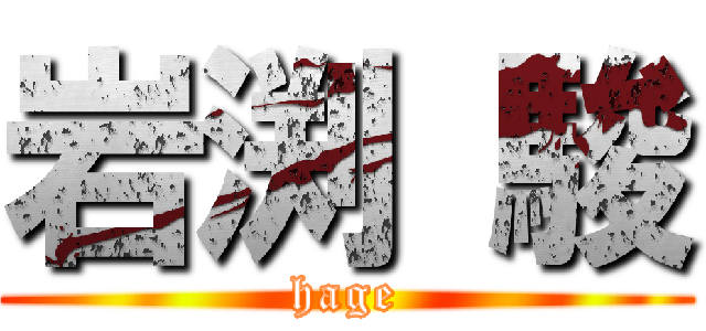 岩渕 駿 (hage)