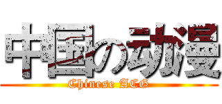 中国の动漫 (Chinese ACG)