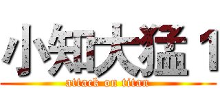 小知大猛１ (attack on titan)