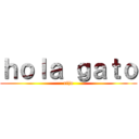 ｈｏｌａ ｇａｔｏ (rijo)