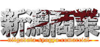 新潟商業 (niigadata syogyo comarcial)