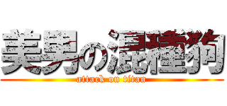 美男の混種狗 (attack on titan)