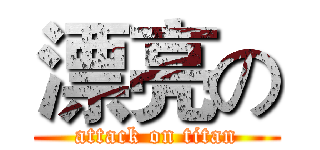 漂亮の (attack on titan)