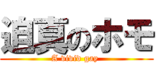 迫真のホモ (A vivid gay )