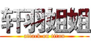 轩羽姐姐 (attack on titan)