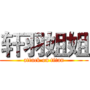 轩羽姐姐 (attack on titan)