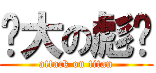 伟大の彪爷 (attack on titan)
