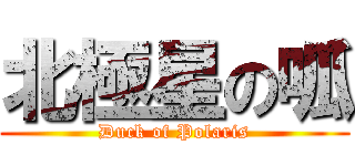 北極星の呱 (Duck of Polaris)