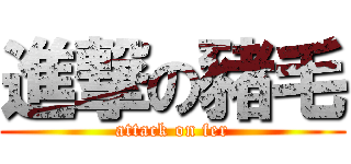 進撃の豬毛 (attack on fer)