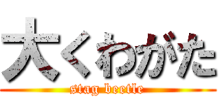 大くわがた (stag beetle)