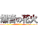 爆音の花火 (おれもびっくり)