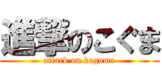 進撃のこぐま (attack on koguma)