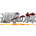 進撃の妹 (そして伝説へ・・・)