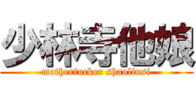 少林寺他娘 (motherfucker shaolinsi)