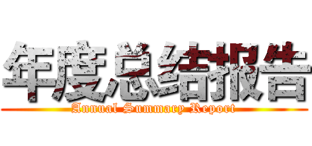 年度总结报告 (Annual Summary Report)