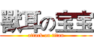 獸耳の宝宝 (attack on titan)