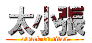 太小張 (attack on titan)