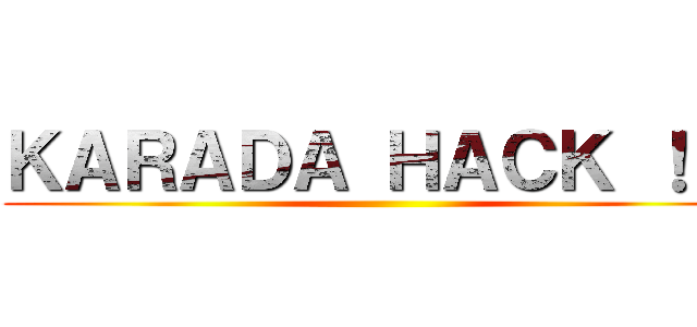 ＫＡＲＡＤＡ ＨＡＣＫ ！！！ ()