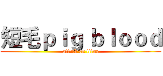 短毛ｐｉｇ ｂｌｏｏｄ (attack on titan)