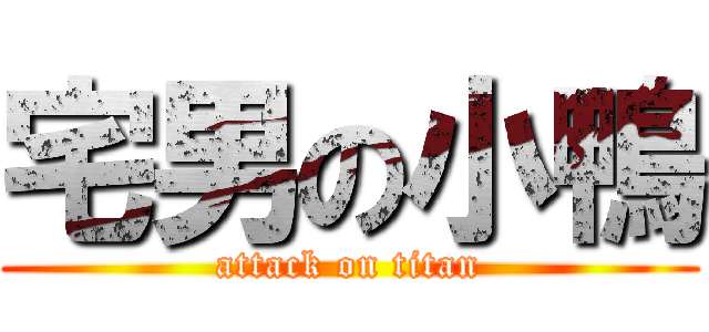 宅男の小鴨 (attack on titan)