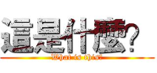 這是什麼？ (What is this?)