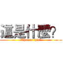 這是什麼？ (What is this?)