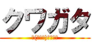 クワガタ (ヾ(・皿・)ノｸﾜｯ)