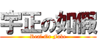 宇正の如假 (Real Or Fake)